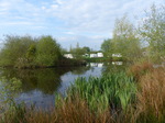 FZ029007 Campervan at pond.jpg